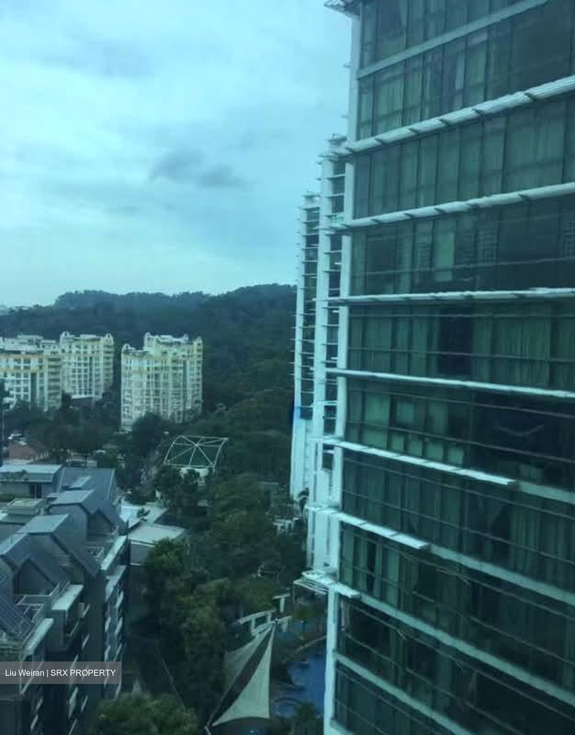 Hillview Regency (D23), Condominium #575296631